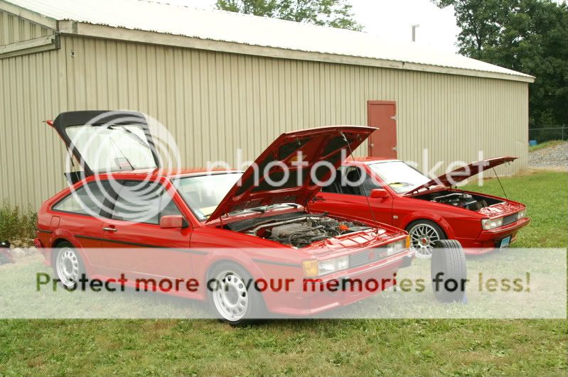 Terryville Sunday? VW Vortex Volkswagen Forum
